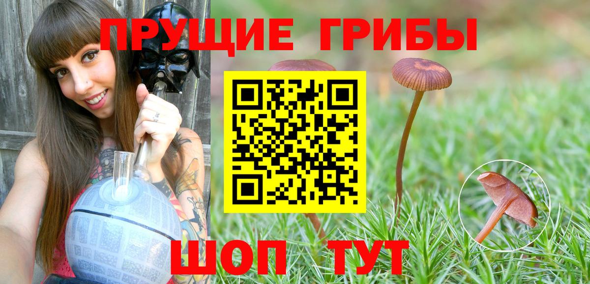 Рыбинск  Галлюциногенные грибы Cubensis  Галлюциногенные грибы мицелий  купить закладку  Вход с VPN 