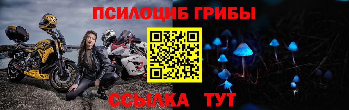 Псилоцибиновые грибы MAGIC MUSHROOMS Рыбинск